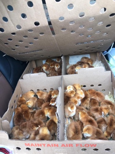                                                                                             ASDA Privatizada
• Materiales de Construcción
• Materiales de Plomería y Electricidad
• Venta de Productos Agrícolas
• Jardinería
• Puertas de Aluminio
• Ventanas de Aluminio
• Cisterna
• Selladores
• Pinturas
• Herramientas
                                                                                    