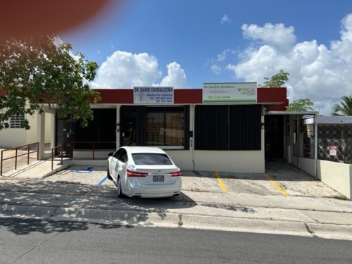                                                                                             DR. DAVID A. CARBALLEIRA
                                                                                    