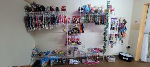 Paradise Pet Resort & Boutique