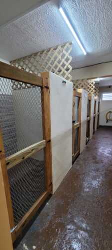 Paradise Pet Resort & Boutique