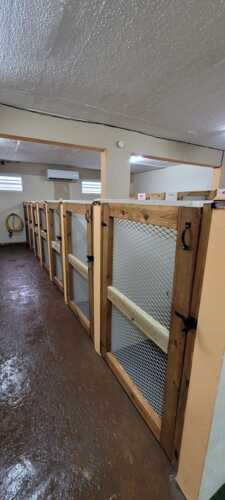 Paradise Pet Resort & Boutique