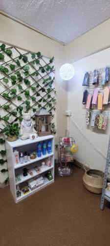 Paradise Pet Resort & Boutique