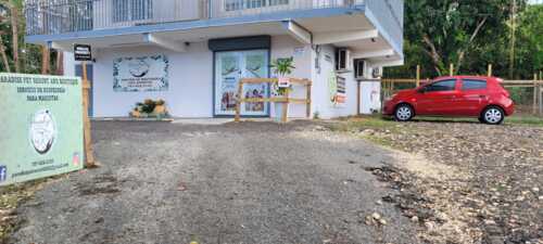 Paradise Pet Resort & Boutique