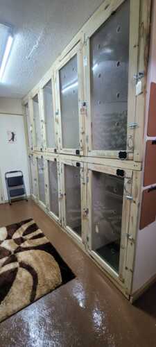 Paradise Pet Resort & Boutique