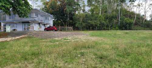 Paradise Pet Resort & Boutique