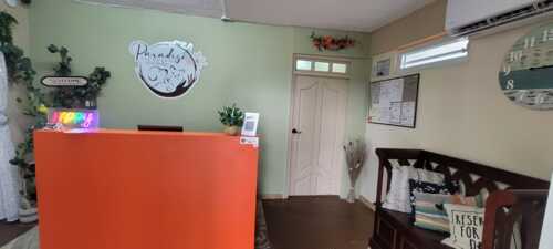 Paradise Pet Resort & Boutique