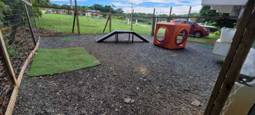 Paradise Pet Resort & Boutique