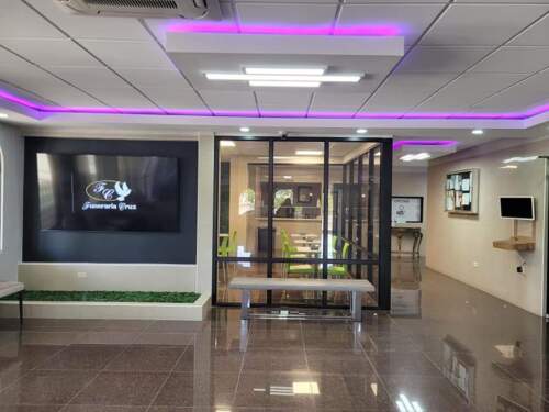 • Traslados dentro y fuera de Puerto Rico
• Pre - arreglos funerales
• Plan de pago disponible
• Servicio de velatorio y sepelio
• Sepelio Directo
• Servicio de Cremación y velatorio
• Cremaciones directas
• Traslados de Estados Unidos
• Venta de diversas urnas, incluyendo urnas ecológicas