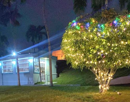                                                                                             Hogar Elisabet "Jardín del Eden"
• Visita de nuestro Médico Generalista con especialidad en Geriatría, 1 vez al mes o cuantas veces se necesite. 
• El equipo de médicos lo componen: Podiatra. (Las visitas de estos especialistas al Hogar son de acuerdo a los requerimientos establecidos por los planes médicos.) 
• Servicios de Ambulancia las 24 horas 
• Laboratorios 
• Farmacia
 • Lavandería los 7 días de la semana 
• Nuestro equipo de trabajo cuenta con enfermeras y personal debidamente adiestrado con capacitaciones especializadas en geriatría, bajo las Normas del Depto. De la Familia.
                                                                                    
