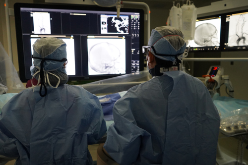 Condiciones tratadas por Neurocirugía Endovascular:
• Embolizaciones Aneurismas Cerebrales en adultos y niños
• Embolizaciones Malformaciones Vasculares Cerebrales y de Espina en adultos y niños
• Embolizaciones de Tumores Cerebrales y Espina preoperatorio
• Embolizaciones Fístulas Arteriovenosas en adultos y niños
• Tratamiento agudo de Derrames Cerebrales, Isquémicos y Hemorrágicos
• Estenosis Carotídea - angioplastia y stent
• Embolización de Hemangiomas Cutáneos
• Arteriografía Diagnóstica (DSA) / Terapéutica de cerebro y espina
• Cirujano Neuro-Endovascular