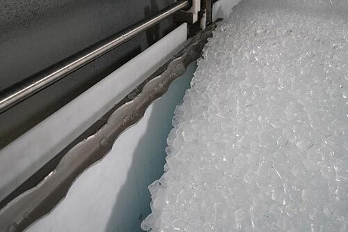                                                                                             El Coquí Ice Plant
Suplimos hielo a: 
• Estaciones de gasolina
• Supermercados
• Farmacias 
• Mini markets
• Barras
• Restaurantes
• Panaderías
• Liquor store

• Ponemos a tu disposición además servicio de hielo para todo tipo de actividades y eventos con la seguridad, puntualidad y servicio que tú te mereces.
                                                                                    