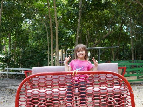                                                                                             • Música
• Zipline
• Laberinto
• Fourth Track
• Disfrute del playground
• Pasear algunos animales
• Interacción con los animales
• Paseos en carreta y en tren
• Espacios para fotografías familiares
• Mesas de arena y de juegos sensoriales
• Paseo en bicicletas de pedales de 4 ruedas• Música
• Zipline
• Laberinto
• Fourth Track
• Disfrute del playground
• Pasear algunos animales
• Interacción con los animales
• Paseos en carreta y en tren
• Espacios para fotografías familiares
• Mesas de arena y de juegos sensoriales
• Paseo en bicicletas de pedales de 4 ruedas
                                                                                    