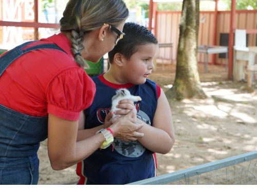                                                                                             • Música
• Zipline
• Laberinto
• Fourth Track
• Disfrute del playground
• Pasear algunos animales
• Interacción con los animales
• Paseos en carreta y en tren
• Espacios para fotografías familiares
• Mesas de arena y de juegos sensoriales
• Paseo en bicicletas de pedales de 4 ruedas
                                                                                    