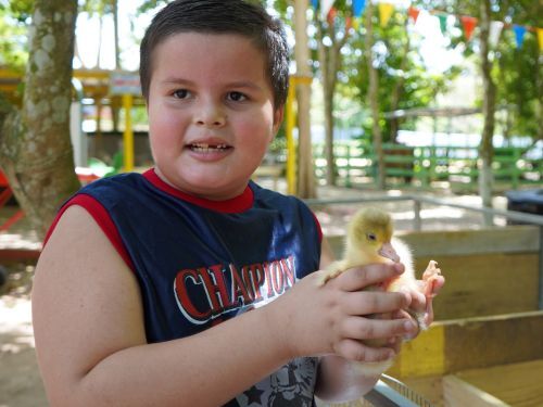                                                                                             • Música
• Zipline
• Laberinto
• Fourth Track
• Disfrute del playground
• Pasear algunos animales
• Interacción con los animales
• Paseos en carreta y en tren
• Espacios para fotografías familiares
• Mesas de arena y de juegos sensoriales
• Paseo en bicicletas de pedales de 4 ruedas
                                                                                    