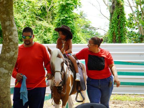                                                                                             • Música
• Zipline
• Laberinto
• Fourth Track
• Disfrute del playground
• Pasear algunos animales
• Interacción con los animales
• Paseos en carreta y en tren
• Espacios para fotografías familiares
• Mesas de arena y de juegos sensoriales
• Paseo en bicicletas de pedales de 4 ruedas
                                                                                    