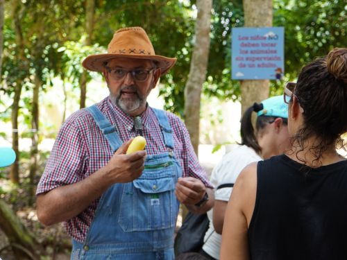                                                                                             • Música
• Zipline
• Laberinto
• Fourth Track
• Disfrute del playground
• Pasear algunos animales
• Interacción con los animales
• Paseos en carreta y en tren
• Espacios para fotografías familiares
• Mesas de arena y de juegos sensoriales
• Paseo en bicicletas de pedales de 4 ruedas
                                                                                    