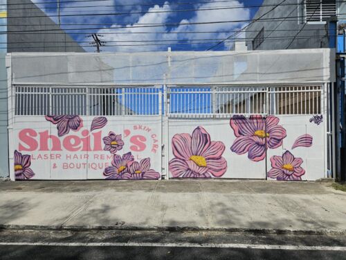                                                                                             • Láser
• Peeling Facial  
• Tratamientos faciales coreanos
• Remoción de Skin Tags (Acro
                                                                                    