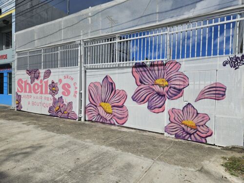                                                                                             • Láser
• Peeling Facial  
• Tratamientos faciales coreanos
• Remoción de Skin Tags (Acro
                                                                                    