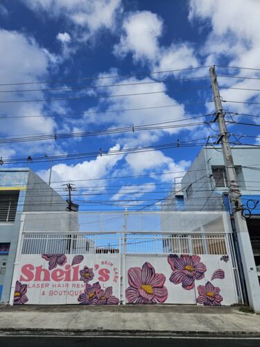                                                                                             • Láser
• Peeling Facial  
• Tratamientos faciales coreanos
• Remoción de Skin Tags (Acro
                                                                                    