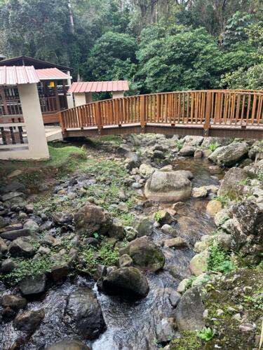Lechonera El Rancho Original
CAPACIDAD ESTA SUJETA A LOS CAMBIOS A LA ORDEN EJECUTIVA.
• NO HABRA MUSICA EN VIVO HASTA QUE NO QUITEN EL DISTANCIAMIENTO.
• Área de gazebos bordeando el riachuelo.
• Aquí sus niños tanto como los adultos podrán disfrutar de la naturaleza mientras su actividad familiar se desenvuelve construyendo las mejores memorias de momentos amenos para todos.
• Tenemos un amplio salón de baile con música en vivo todos los fines de semana.
• Excelente tanto para la familia como para parejas.