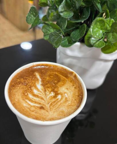                                                                                             • Todo tipo de desayunos y sándwiches
• Variedad de platos
• Refrescos, juegos y café y más
                                                                                    