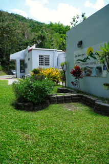                                                                                             • Líder recreativo
• Acceso a farmacia y laboratorio
• Actividades dentro y fuera del hogar
• Enfermera, médico, psicólogo y psiquiatra
                                                                                    