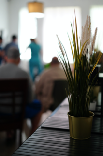                                                                                             • Líder recreativo
• Acceso a farmacia y laboratorio
• Actividades dentro y fuera del hogar
• Enfermera, médico, psicólogo y psiquiatra
                                                                                    