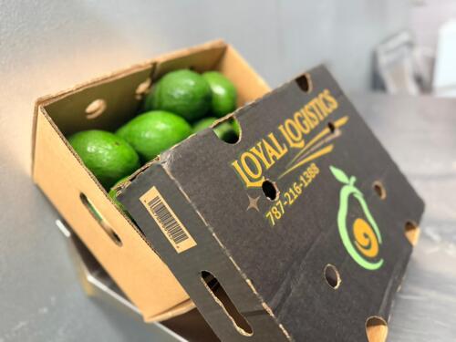                                                                                             • Frutas Frescas
• Verduras Frescas
• Importación y Distribución
                                                                                    