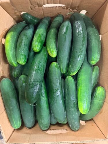                                                                                            • Frutas Frescas
• Verduras Frescas
• Importación y Distribución
                                                                                    