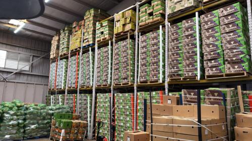                                                                                             • Frutas Frescas
• Verduras Frescas
• Importación y Distribución
                                                                                    