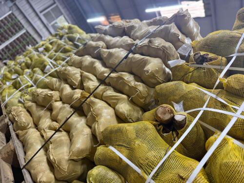                                                                                             • Frutas Frescas
• Verduras Frescas
• Importación y Distribución
                                                                                    