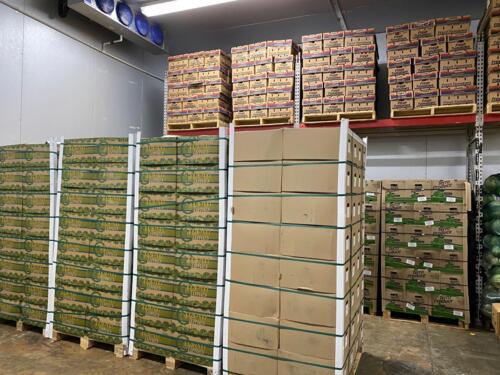                                                                                             • Frutas Frescas
• Verduras Frescas
• Importación y Distribución
                                                                                    