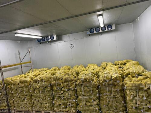                                                                                             • Frutas Frescas
• Verduras Frescas
• Importación y Distribución
                                                                                    