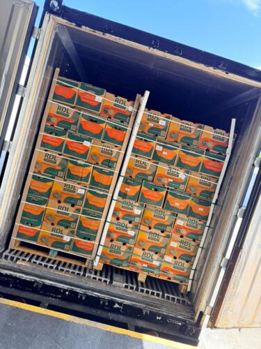                                                                                             • Frutas Frescas
• Verduras Frescas
• Importación y Distribución
                                                                                    