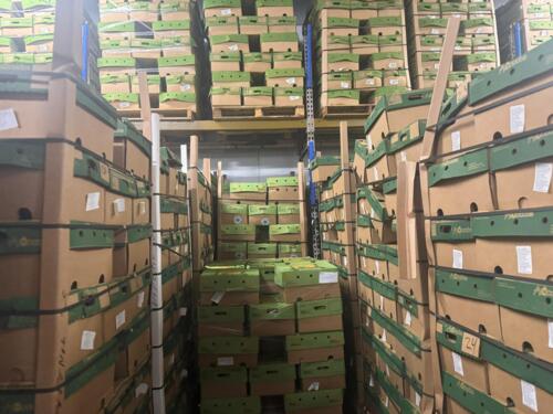                                                                                             • Frutas Frescas
• Verduras Frescas
• Importación y Distribución
                                                                                    