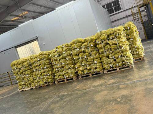                                                                                             • Frutas Frescas
• Verduras Frescas
• Importación y Distribución
                                                                                    