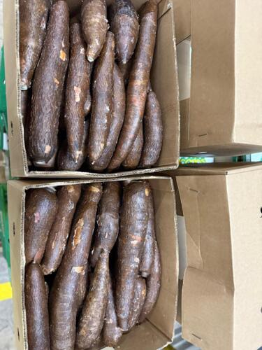                                                                                             • Frutas Frescas
• Verduras Frescas
• Importación y Distribución
                                                                                    
