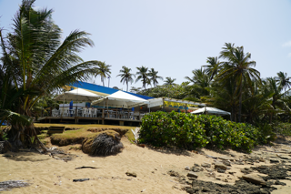 • Especialidad en mariscos
• Comida criolla y carnes
• Bar/Música
• Pescadería Local
• Terraza al aire libre
• WiFi
• Estacionamiento