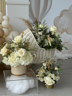                                                                                             • Alquiler de Mobiliario
• Arcos y Estructuras
• Letras y Números Iluminados
• Mesas y Bases para Bizcochos
• Herramientas para Decoradores
• Productos para Eventos
                                                                                    
