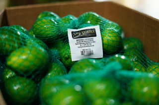 • Frutas Frescas
• Verduras Frescas
• Importación y Distribución