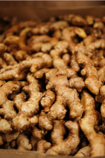 • Frutas Frescas
• Verduras Frescas
• Importación y Distribución