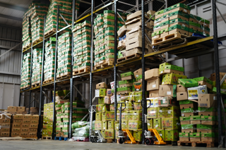 • Frutas Frescas
• Verduras Frescas
• Importación y Distribución