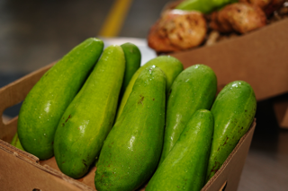 • Frutas Frescas
• Verduras Frescas
• Importación y Distribución