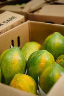 • Frutas Frescas
• Verduras Frescas
• Importación y Distribución