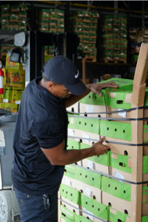 • Frutas Frescas
• Verduras Frescas
• Importación y Distribución