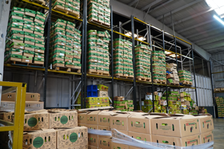 • Frutas Frescas
• Verduras Frescas
• Importación y Distribución