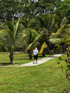 • Vivienda Independiente para Adultos Mayores
Residencia privada para adultos mayores que desean mantener su independencia mientras disfrutan de alojamiento, alimentación y actividades.
• Vivienda Asistida para Adultos Mayores
Alternativa residencial para personas que necesitan asistencia adicional en sus actividades cotidianas. El nivel de asistencia se determina mediante una evaluación previa.
• Memory Care
Atención para adultos mayores con Alzheimer y otras necesidades relacionadas con la memoria.
• Evaluación de Ingreso
Evaluación física con enfermería y revisión del historial médico para determinar las necesidades y el nivel de asistencia del residente.
• Habitaciones Equipadas
Habitaciones con cama, mesa de noche, aire acondicionado, televisor y baño. Disponibilidad de camas de posiciones para residentes que las requieran.
• Alimentación
Tres comidas diarias y meriendas incluidas para los residentes.
• Lavandería y Ropa de Cama
Servicio de lavandería y ropa de cama como parte de los servicios de la residencia.
• Actividades y Recreación
Zumba, piscina, gazebo, actividades creativas, pintura en canvas, actividades grupales y salidas recreativas fuera de las facilidades.
