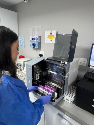 • Pruebas de COVID-19 Molecular
• Prueba de Antígeno
• Rapid Test con resultados el mismo día
• En el Laboratorio Clínico Plaza Palacios, tu salud siempre es primero.
• Nosotros e