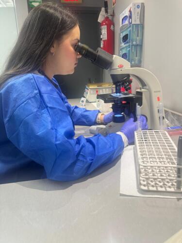 • Pruebas de COVID-19 Molecular
• Prueba de Antígeno
• Rapid Test con resultados el mismo día
• En el Laboratorio Clínico Plaza Palacios, tu salud siempre es primero.
• Nosotros e