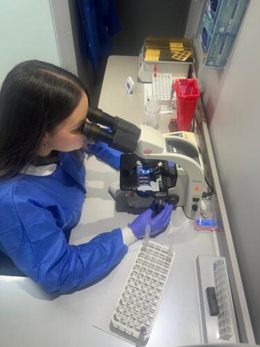 • Pruebas de COVID-19 Molecular
• Prueba de Antígeno
• Rapid Test con resultados el mismo día
• En el Laboratorio Clínico Plaza Palacios, tu salud siempre es primero.
• Nosotros e